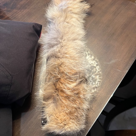 Youth Canada Goose Parka - Picture 4 of 4